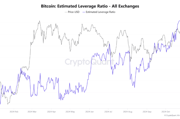 Bitcoin’s price has gained momentum over the past weeks and recently touched a