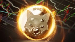 Shiba Inu Burn Rate Surge 24,271% While